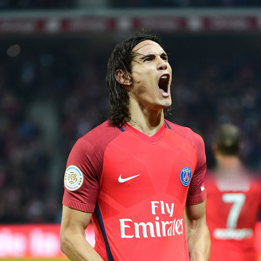 Patch/Badge Ligue 1 Champion 2016 PSG Paris Saint-Germain