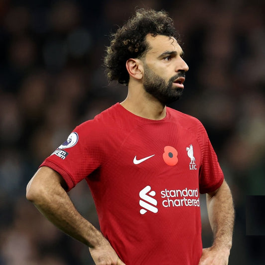 Patch/Badge RBL Poppy v1 Premier League Tissé