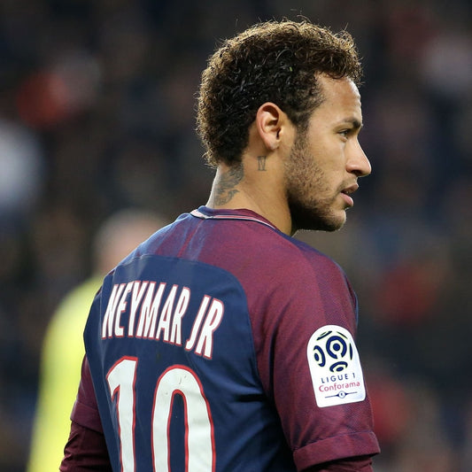 Ligue 1 Conforama France 2017-2020 Patch/Badge