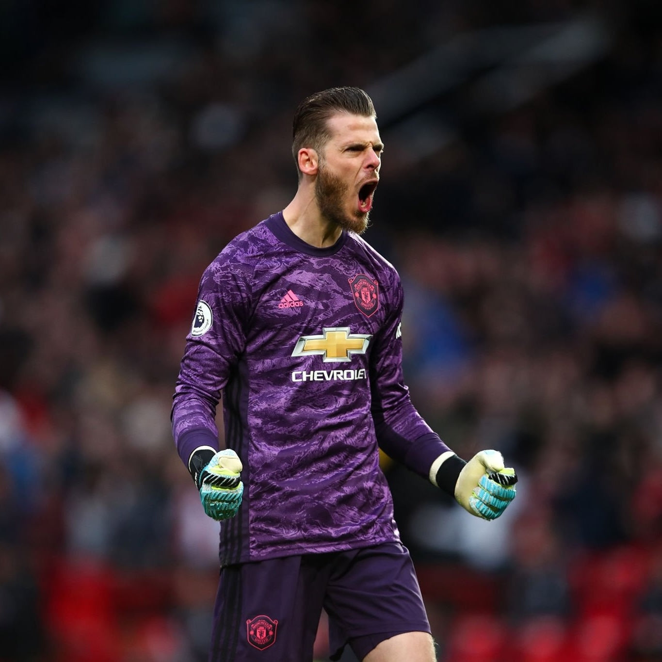 Écusson/Logo Manchester United 2019-2020 GK Home Patch Badge Club Silicone